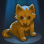 Chien solitaire